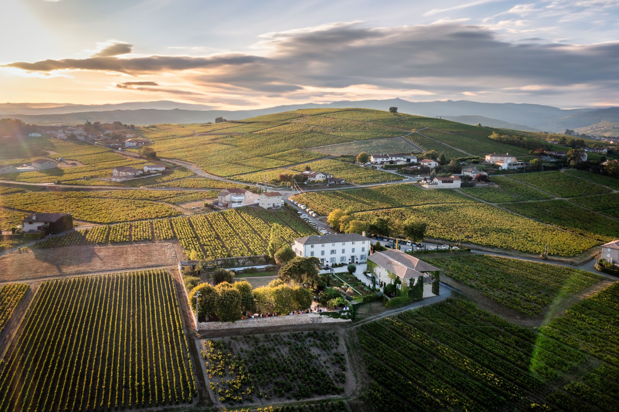 Domaine Dupont-Fahn header