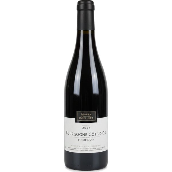 Bourgogne Côte-d'Or - Pinot Noir