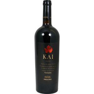 Errazuriz KAI 2006 Chile