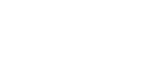 Château Larcis Ducasse logo