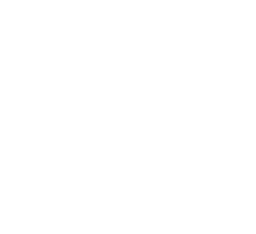 Château Pavie Macquin logo