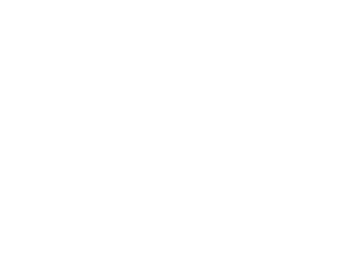 Château Trottevieille logo