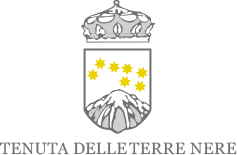 Tenuta delle Terre Nere logo