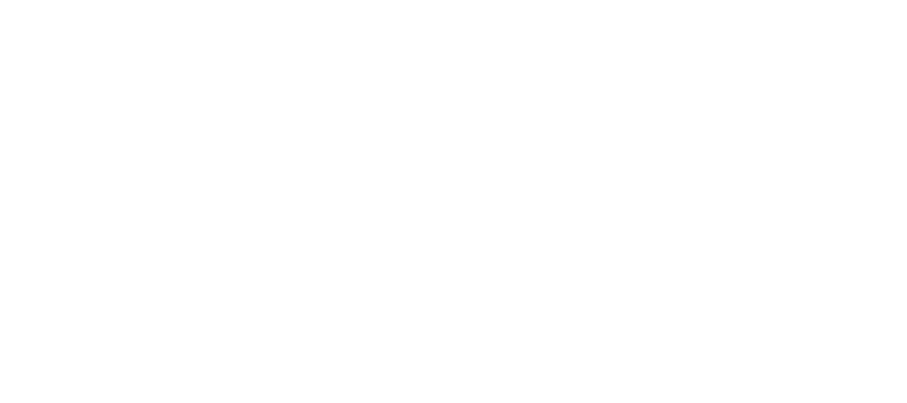 Tinto Pesquera logo